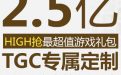 TGC2014活动