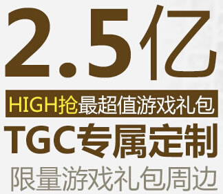 TGC2014活动