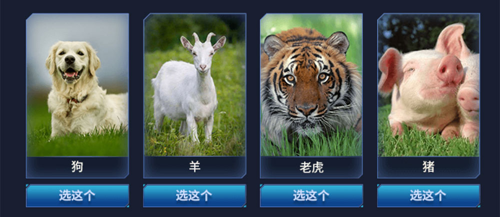肖枫想做什么动物? 答案：狗、羊、老虎、猪
