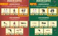 CF灵狐的约定免费送炽天使